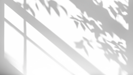 shadow overlay effects of realistic window and tree branch shadow with light blur on transparent background,Summer sunlight and shadow overlay effect