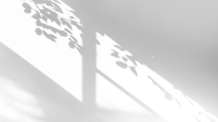 shadow overlay effects of realistic window and tree branch shadow with light blur on transparent background,Summer sunlight and shadow overlay effect