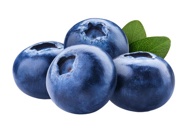 Obraz premium Several blueberries with green leaves.