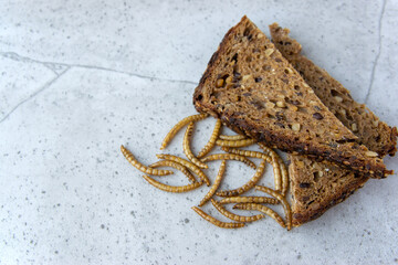 Worms for cooking. Mealworms on a stone background.