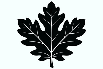 Elegant and scalable leaf vector illustration, ideal for eco-friendly designs, botanical projects, nature-themed artwork, packaging, logos, and seasonal decorations. Perfect for use in both digital an