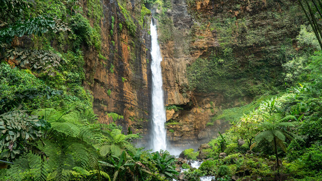 Aerial view of kapas biru waterfall surrounded by lush tropical forest and rocky cliffs, Lumajang, East Java, Indonesia.