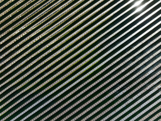 Aerial view of solar panels forming an abstract pattern in a sustainable landscape, Espejo, Cordoba, Spain.