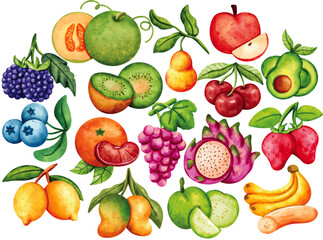 Watercolor Fruit Clip Art Set Hand Painted Apple Banana Kiwi Dragonfruit Grapes Strawberry Melon Avocado Cherry Orange Pear Illustration