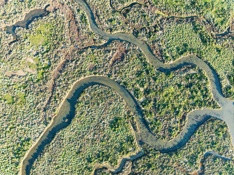 Aerial view of lush marshland with meandering river and vibrant vegetation, Isla Cristina, Huelva, Spain.