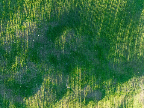 Aerial view of lush farmland with green fields and rural landscape, Olvera, Cadiz, Spain.