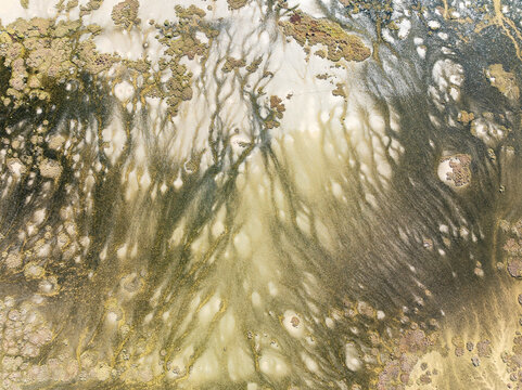 Aerial view of beautiful barbate marshland with unique patterns and textures, Barbate, Cadiz, Spain.