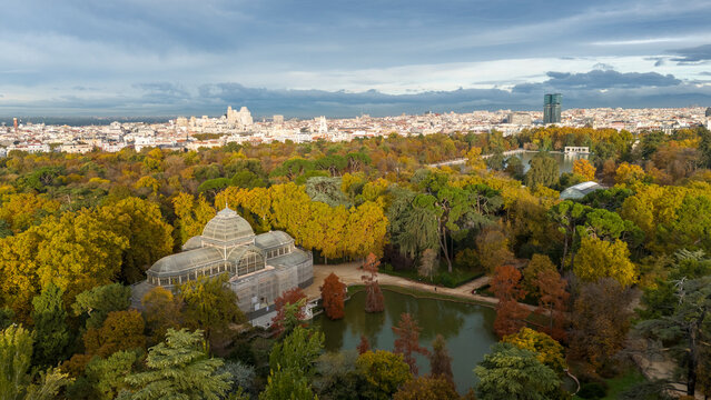 Aerial view of Parque el Retiro with Palacio de Cristal surrounded by vibrant autumn foliage and a tranquil pond, Retiro, Madrid, Spain.