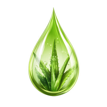 Green aloe vera drop with fresh aloe leaves inside realistic illustration isolated on transparent background.