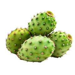 Prickly Pear isolated on white background