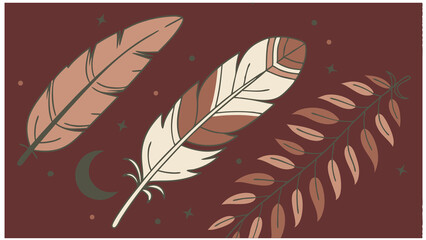 vector illustration of feather