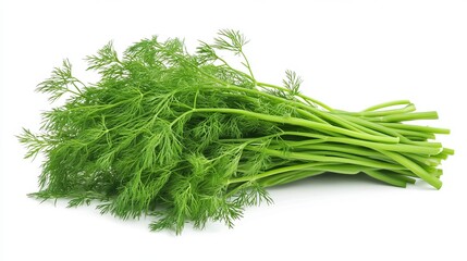 Fresh Green Dill Herb Bunch Isolated White Background Culinary Ingredient Cooking Recipe Food Photography Healthy Diet Vegan Vegetarian Natural       