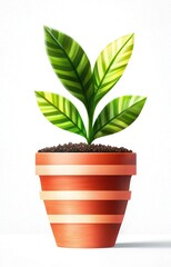 Fototapeta premium plant in pot