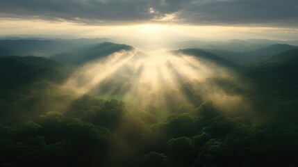 Fototapeta premium Sunrise over misty mountain valley. Sunlight beams through the fog over lush green forests