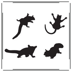 Sugar Gliders silhouette, Sugar Gliders illustration , Sugar Gliders clipart, Sugar Gliders vector , Sugar Gliders icon , black Sugar Gliders , Sugar Gliders illustration on white background,