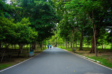 Obraz premium Walk way in city green public park nature pathway