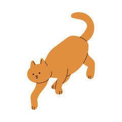 Flat Cartoon Orange Cat