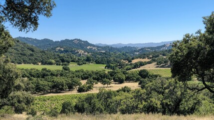 Obraz premium Scenic valley view from hillside with vineyards, farmland, and mountains. Possible use real estate, tourism, agriculture