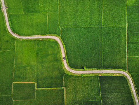 Aerial view of zigzag road through green farmland and fields, Shibganj, Rajshahi, Bangladesh.
