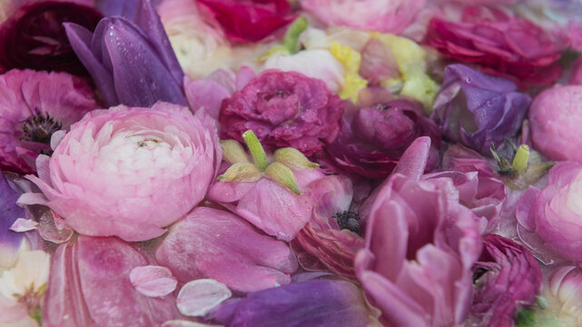 pink spring flowers for my mother frozen in time