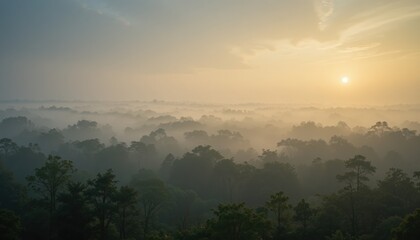 Misty sunrise over lush rainforest amazon basin aerial view natural landscape serene environment captivating atmosphere for nature enthusiasts
