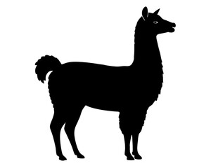 Alpaca Silhouette Vector Design, Alpaca SVG, Alpaca Icon