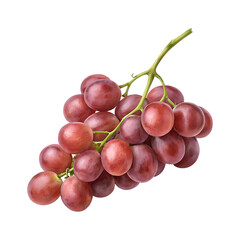 Fresh Red Grapes Bunch with Stem on Transparent Background
