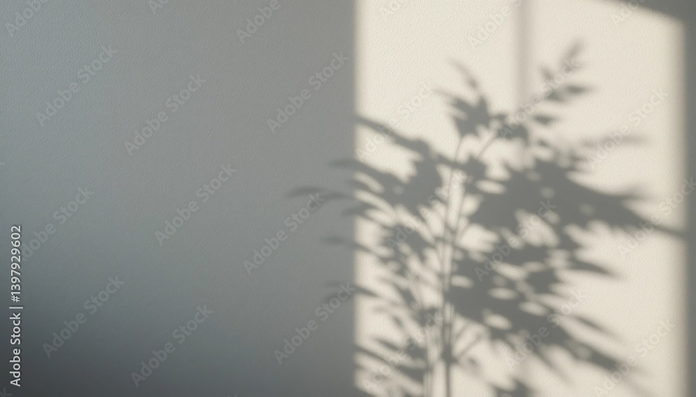 Poster captivating shadow play indoor space photography minimalist environment close-up viewpoint exploring