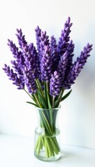 Obraz premium Luxurious lavender bouquet, stark white setting, plant, calming, closeup