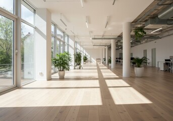 Bright office space with large windows and plants casting shadows on the wooden floor area view