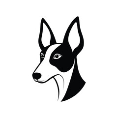 Black and white ibizan hound head with regal posture.eps