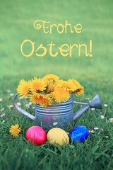 Easter eggs and watering can with dandelion flowers on green meadow.