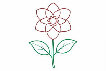 pink orchid isolated on white