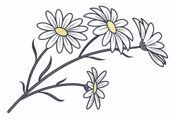 white flowers on white background