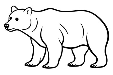 Minimalist Bear Line Art on White Background