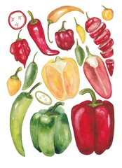 A large set of bell peppers, paprika, hot peppers on a white background. Watercolor illustrations of peppers, whole, pieces, halves and slices for design.