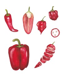 A set of watercolor red peppers