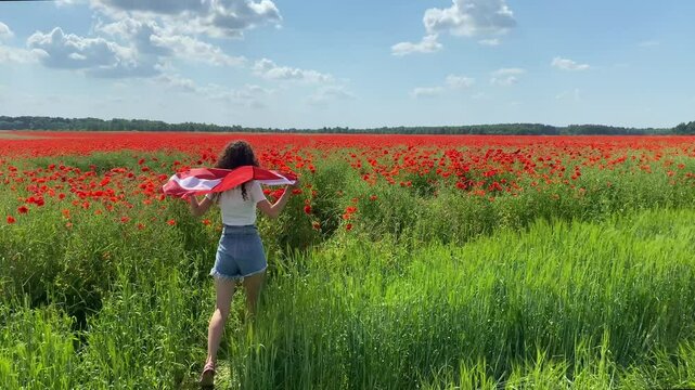 Curly woman  holding flag of Latvia walking in poppy field. Declaration of Independence Day. Ligo. Proclamation of the Republic. Travel and learn latvian language concept.