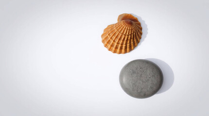 Fototapeta premium A natural earth toned seashell and a smooth grey stone on a white background, browns, beiges, muted colors, soft light, isolated objects, detailed texture.jpg