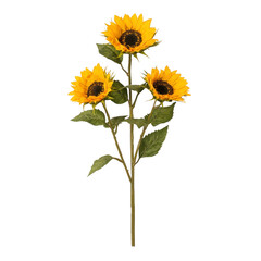 Fototapeta premium Three vibrant sunflowers with green leaves on single stem create cheerful and lively display. bright yellow petals and dark centers contrast beautifully