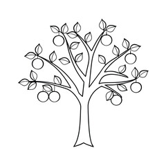 Simple Outline Drawing Of Apple Tree With Apples And Leaves