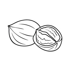 Walnut Outline Vector Illustration Whole And Half For Coloring Books Art