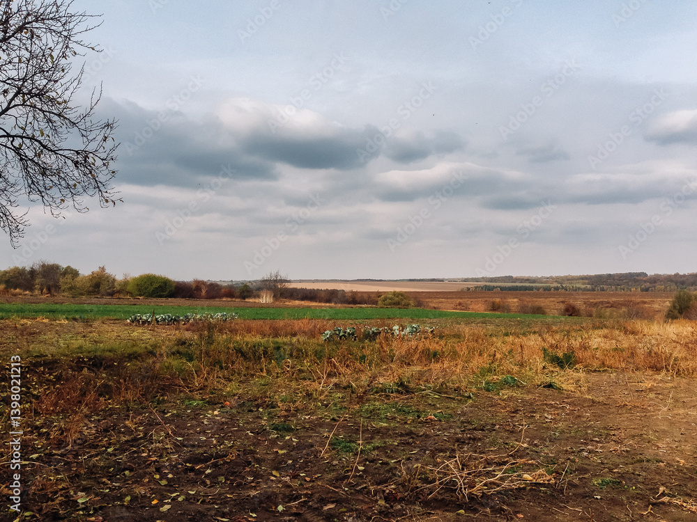 Poster field of grass with a cloudy sky in the background