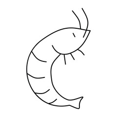 Shrimp doodle. Isolated on white background