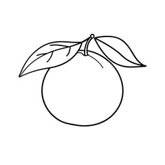 Orange Fruit Outline Drawing With Two Leaves For Coloring Book Design