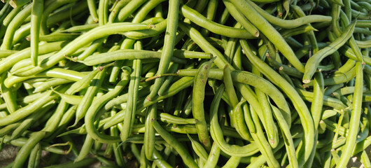 A pile of green bean open sell in Indian market.