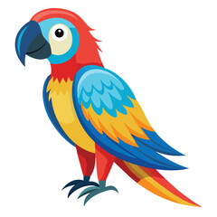 Parrot isolated on white background