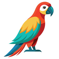 Parrot isolated on white background