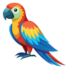 Parrot isolated on white background