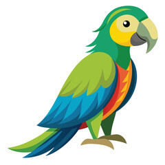 Parrot isolated on white background